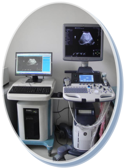 6b718a7f-651f-47a3-87b4-6aac497b71eb NG电子游戏·(中国区)官方网站